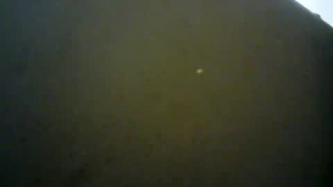 Snapshot of mlkklm47 chatting on 01-03-25, 07:39 mlkklm47 online show from 01-03-25, 07:39