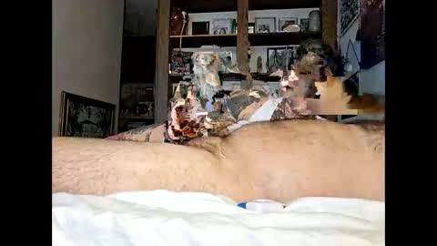 Kittykittybangbang online show from 02-15-26, 07:43