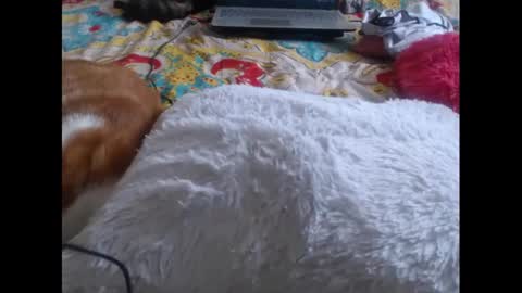 Snapshot of mollyandbra chatting on 02-05-25, 09:29 Molly And Brad online show from 02-05-25, 09:29