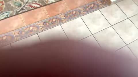 Snapshot of mommymona chatting on 07-14-26, 08:14 mommymona online show from 07-14-26, 08:14