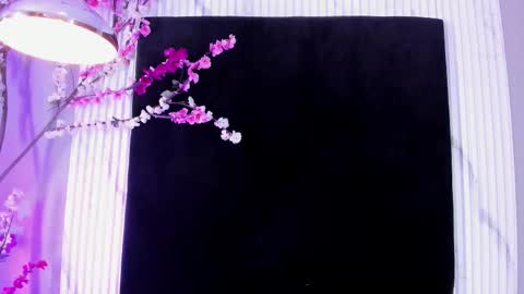 MONIK FOX online show from 11-17-25, 07:41