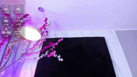 MONIK FOX online show from 12-02-25, 08:37