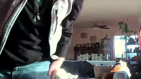 Monkee Dance online show from 12-06-24, 11:47