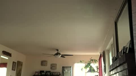 Monkee Dance online show from 02-16-25, 05:37