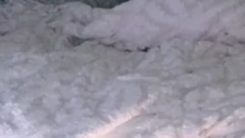 Snapshot of montydxxx2 chatting on 02-05-26, 12:26 montydxxx2 online show from 02-05-26, 12:26