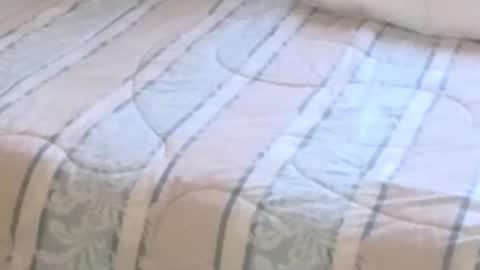 Snapshot of montydxxx2 chatting on 02-12-26, 11:22 montydxxx2 online show from 02-12-26, 11:22