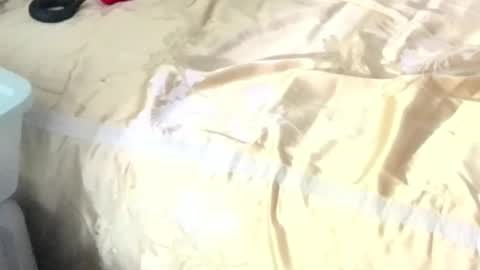 Snapshot of montydxxx2 chatting on 02-15-26, 11:08 montydxxx2 online show from 02-15-26, 11:08