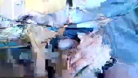 mookie2 online show from 01-11-25, 09:47