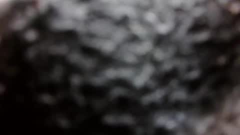 BouncyBoner online show from 09-08-25, 11:04