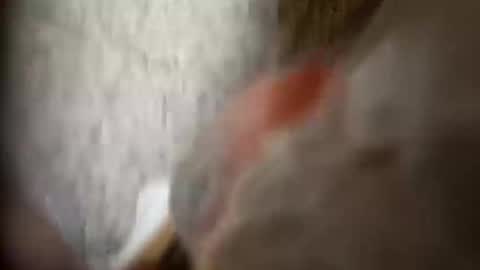 moos1 online show from 09-25-25, 12:25