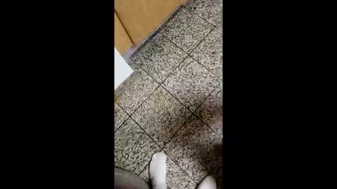 moos1 online show from 10-04-25, 04:10