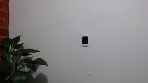 Abelardo online show from 04-06-26, 04:57