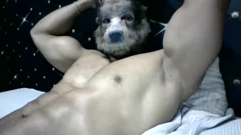 Snapshot of moreno1muscular chatting on 03-04-25, 09:11 moreno1muscular online show from 03-04-25, 09:11