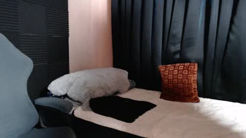 Snapshot of morenojake chatting on 04-16-26, 02:34 morenojake online show from 04-16-26, 02:34