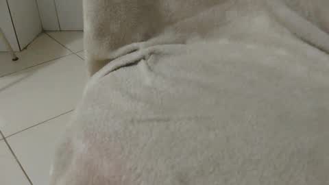 Snapshot of morenokaxu chatting on 01-04-25, 12:48 morenokaxu online show from 01-04-25, 12:48