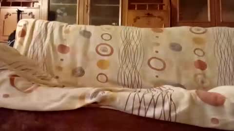 Nomadu online show from 12-11-24, 08:04