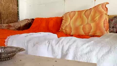 Snapshot of mospeleu chatting on 06-29-26, 08:42 Nomadu online show from 06-29-26, 08:42