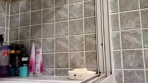 Snapshot of moss127 chatting on 12-15-24, 03:20 twennysevv27 online show from 12-15-24, 03:20