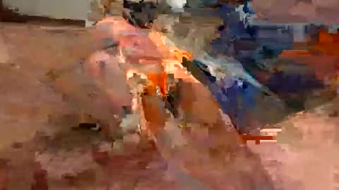 Flying Bird online show from 01-18-26, 10:46