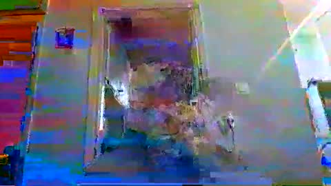 Snapshot of mppempis81 chatting on 11-16-25, 03:17 mppempis81 online show from 11-16-25, 03:17