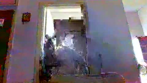 mppempis81 online show from 11-23-25, 07:08