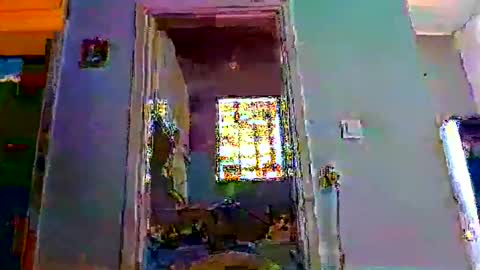 mppempis81 online show from 02-01-26, 07:29