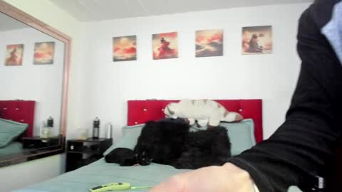 Andy online show from 12-23-24, 04:50