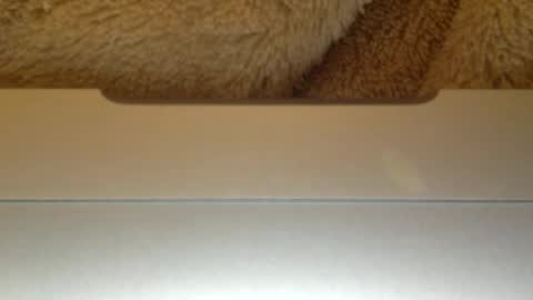 Snapshot of mr_himm chatting on 04-23-26, 12:56 mr_himm online show from 04-23-26, 12:56