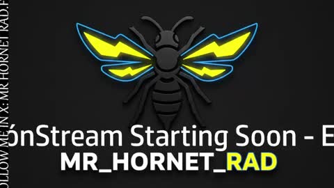 mr_hornet_rad online show from 04-27-26, 01:47
