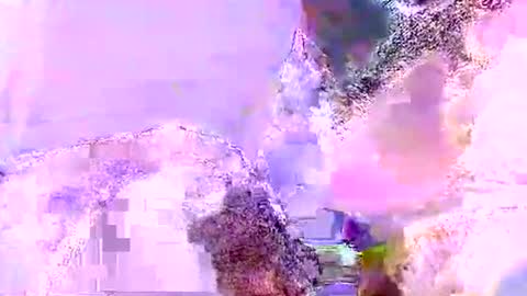 Snapshot of mrboombastic6969 chatting on 06-05-26, 10:21 Mr boom online show from 06-05-26, 10:21