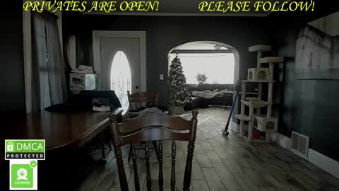 Snapshot of mrbrewscamfam chatting on 12-01-24, 07:36 MrBrew online show from 12-01-24, 07:36