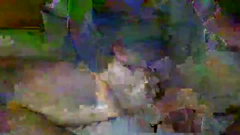 Mr-E online show from 04-06-26, 02:09