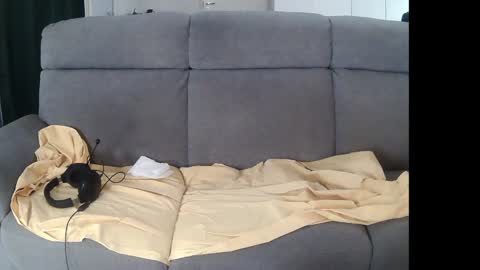 I am Hardy online show from 12-05-24, 11:07