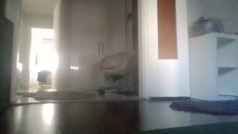 Nikola online show from 03-11-26, 08:20