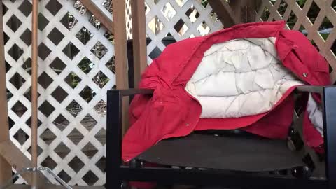 mrjohnlbrown online show from 03-07-26, 07:11