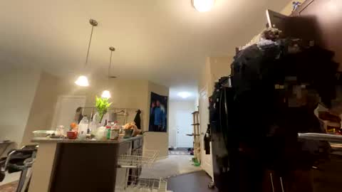 Longbi1 online show from 09-18-25, 11:29