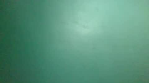 Snapshot of mrlust6969 chatting on 01-25-25, 05:08 mrlust6969 online show from 01-25-25, 05:08