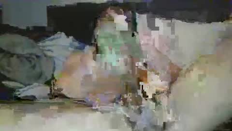Snapshot of mrpapichulo4life chatting on 02-01-26, 11:20 mrpapichulo4life online show from 02-01-26, 11:20