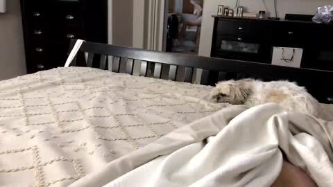 mrrogue online show from 11-01-25, 05:20