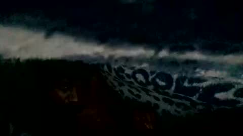 mrvnaked online show from 12-22-24, 12:50