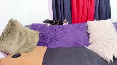 Snapshot of msjustine4u chatting on 10-31-25, 01:17 Miss Justine online show from 10-31-25, 01:17