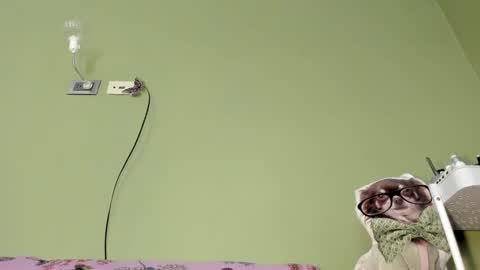 MsPurrfectLove online show from 02-02-25, 06:31