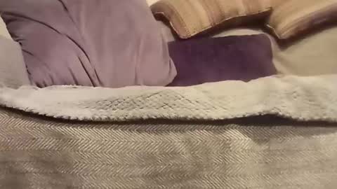 Snapshot of mtx9889 chatting on 10-27-25, 10:47 mtx9889 online show from 10-27-25, 10:47