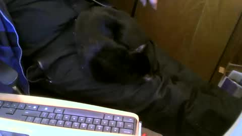 muller520 online show from 02-13-25, 06:48