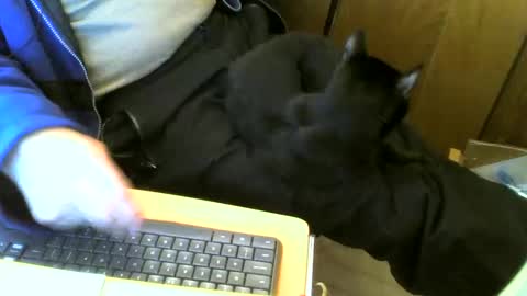 muller520 online show from 03-02-25, 11:39