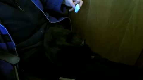 Snapshot of muller520 chatting on 01-08-26, 04:31 muller520 online show from 01-08-26, 04:31
