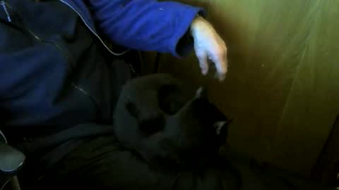 Snapshot of muller520 chatting on 01-09-26, 04:21 muller520 online show from 01-09-26, 04:21