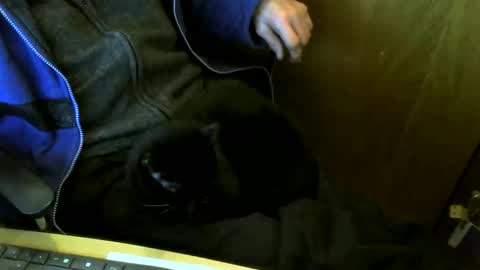 Snapshot of muller520 chatting on 03-10-26, 05:29 muller520 online show from 03-10-26, 05:29