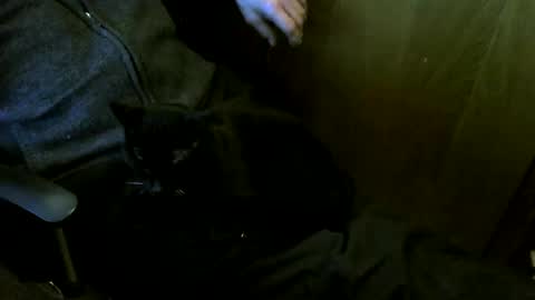 Snapshot of muller520 chatting on 03-12-26, 04:02 muller520 online show from 03-12-26, 04:02
