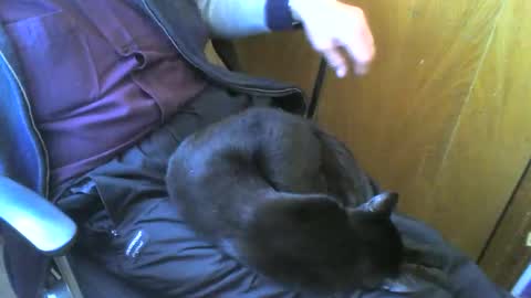 Snapshot of muller520 chatting on 03-14-26, 02:33 muller520 online show from 03-14-26, 02:33